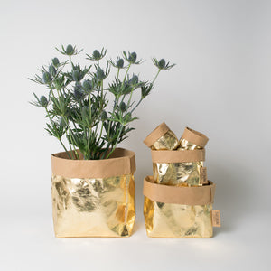 gold/avana paper bag